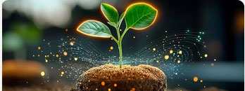 FDD-global.com